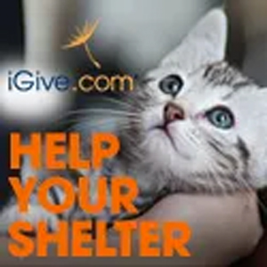 iGive logo
